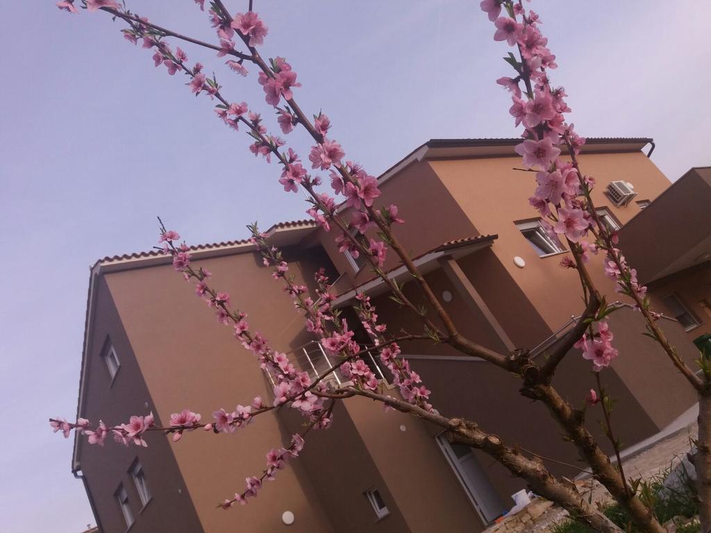 Apartmani B&B Ližnjan Exteriér fotografie